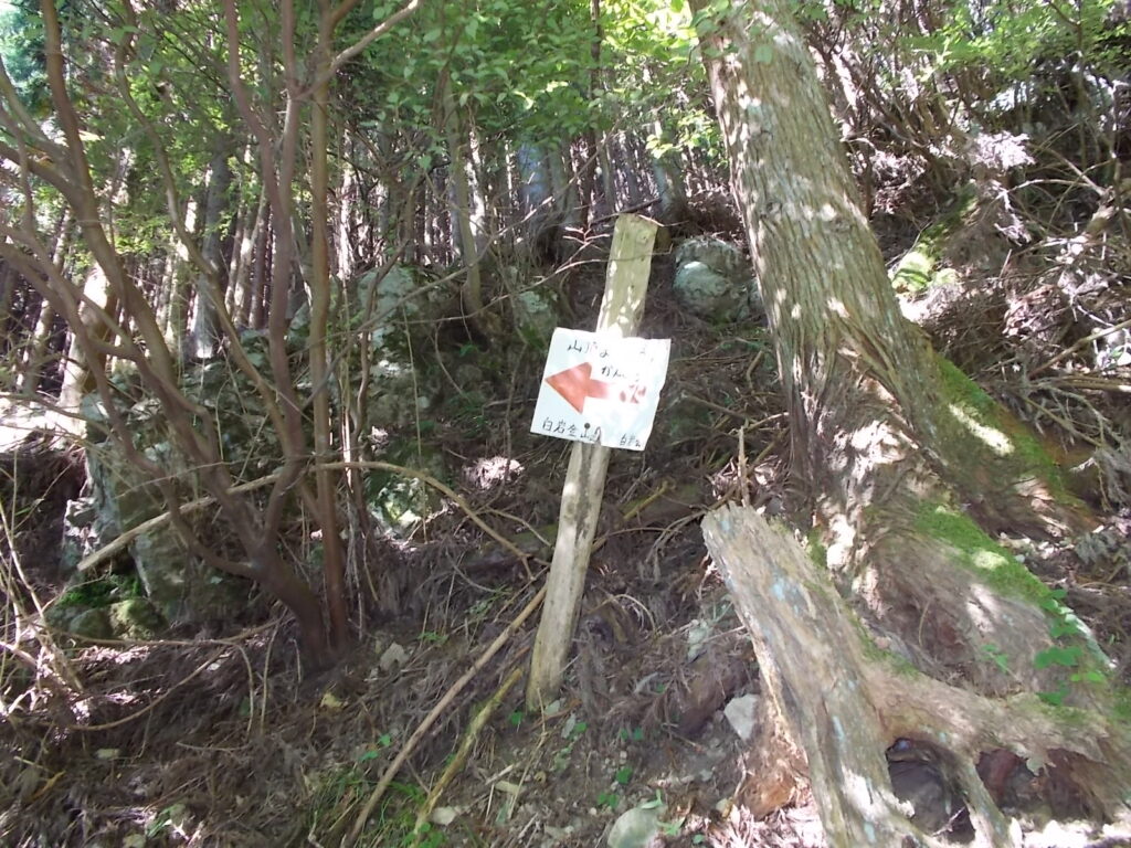 9:57 こちらのコースには必ず矢印が出てきます。