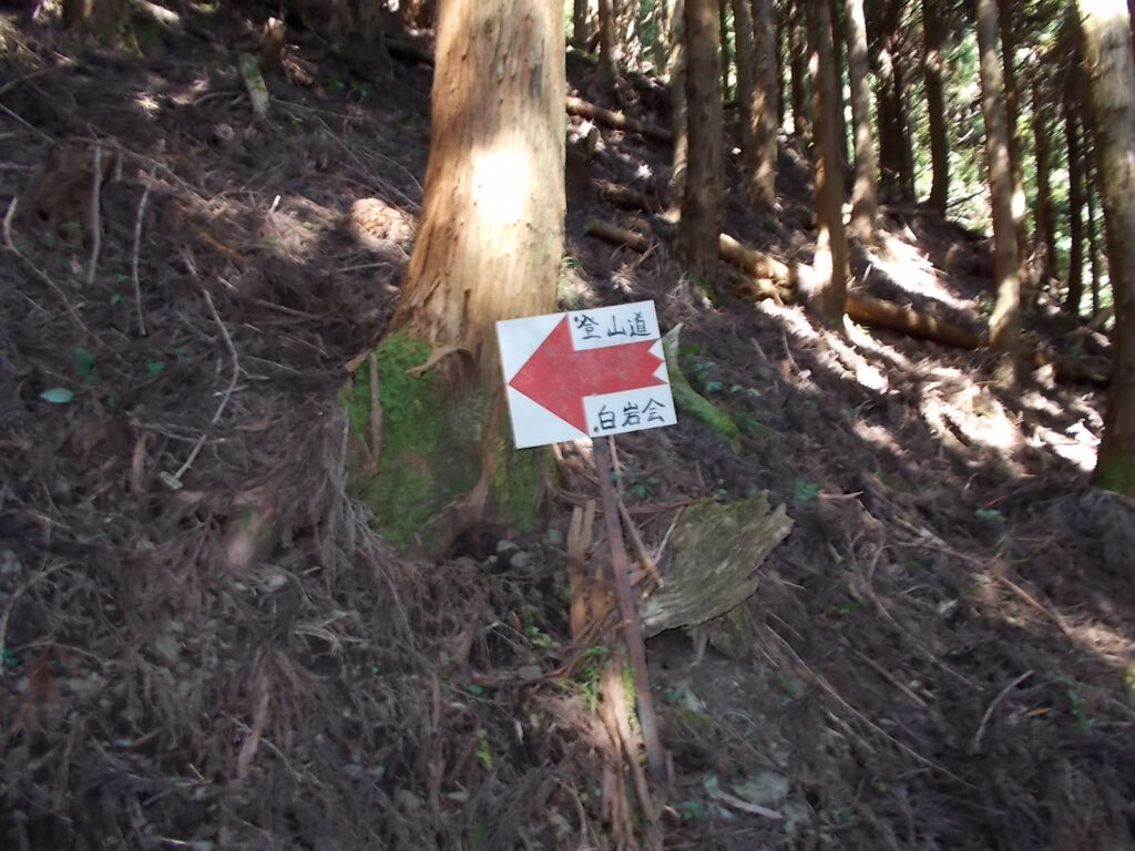 10:02 さらに矢印の案内板。