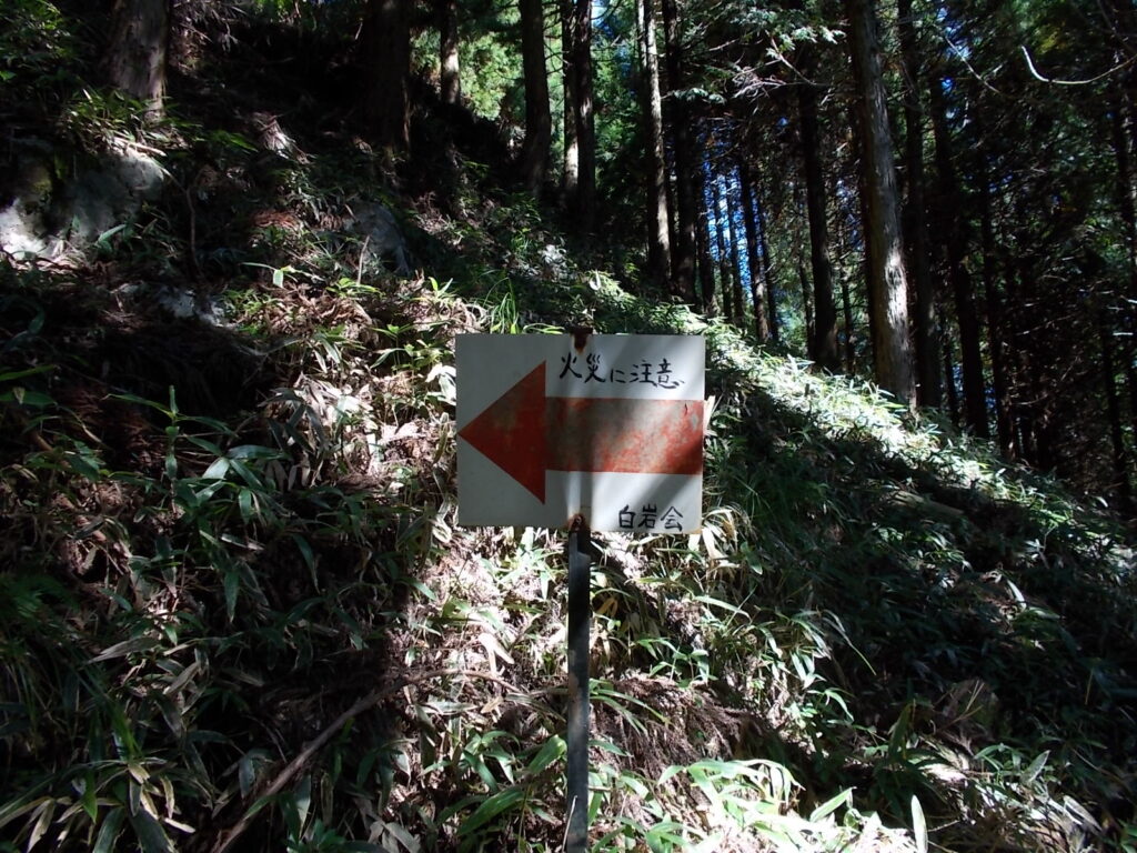 10:08 ススキをかき分け進むとまた人工林の中に入りました。