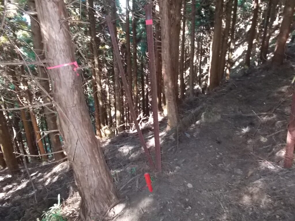10:10 歩きやす登山道。