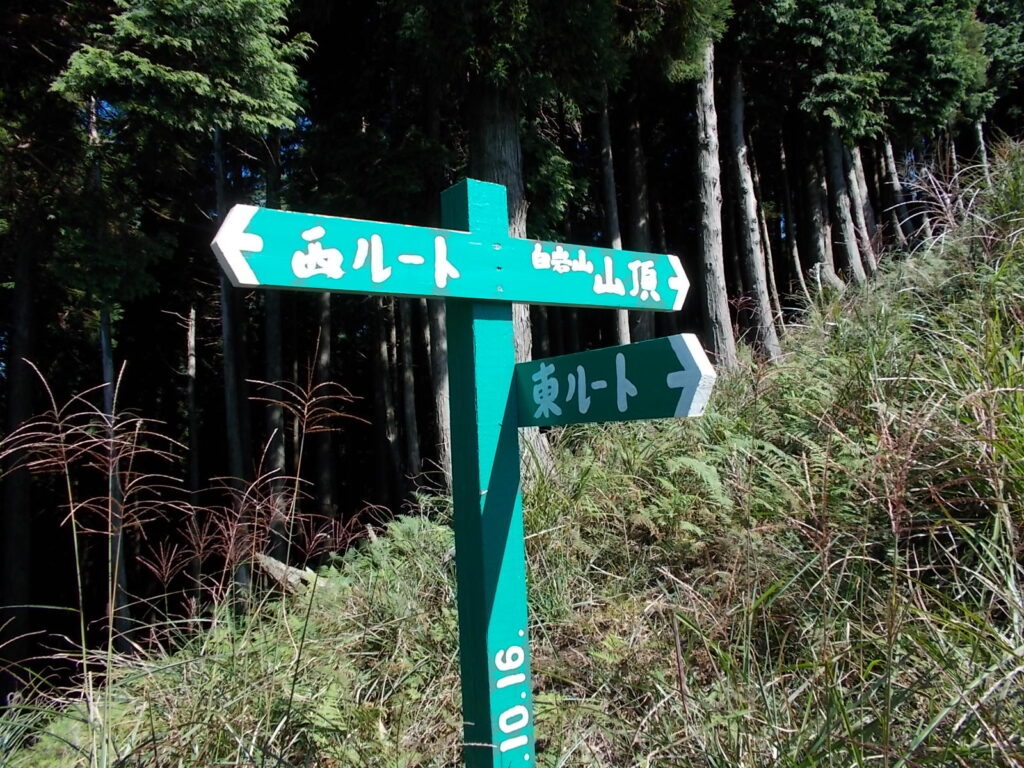 10:17 西ルートとの分岐に出ます。ただ、西ルートの向きは間違ってますのでご注意を。尾根を歩いてください。