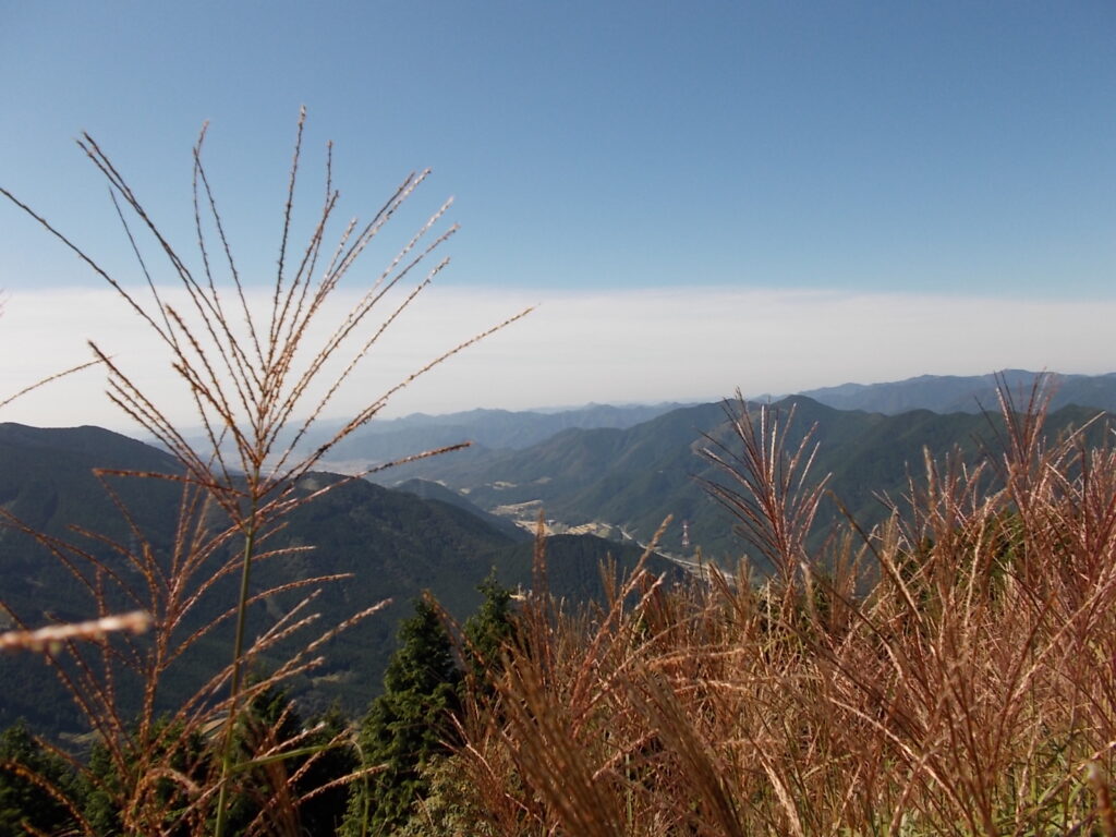 10:18 ここから見える景色です。やっぱりススキがいっぱいです。