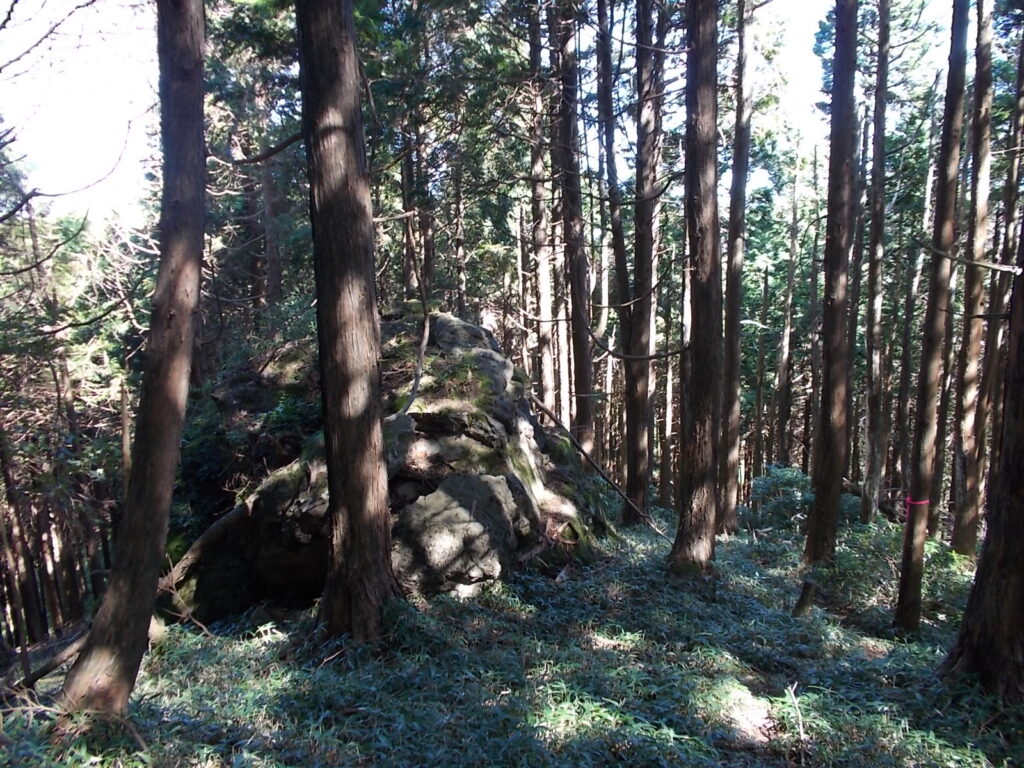 10:28 案内板の裏を抜けて、高畑山に向かいます。