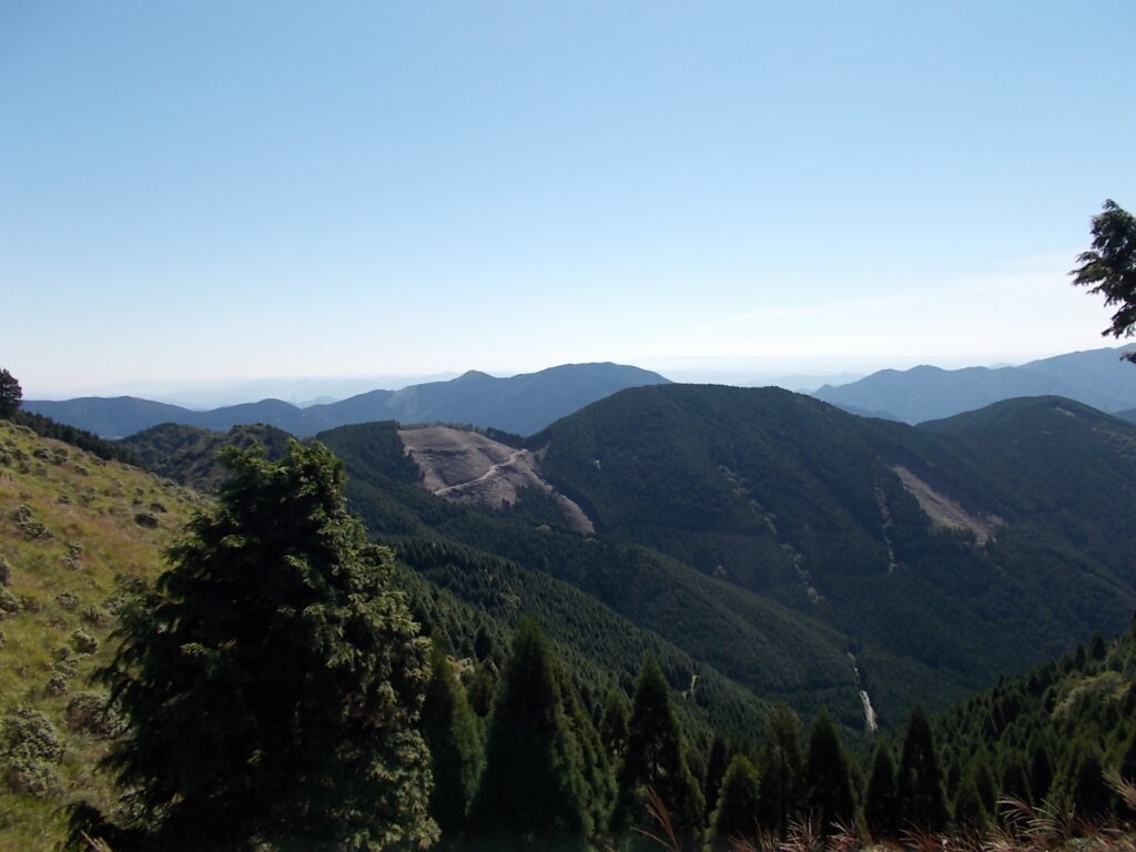 10:36 前回間違えて登ったピークの辺りのようです。このあたりは林業が盛んなようですね。