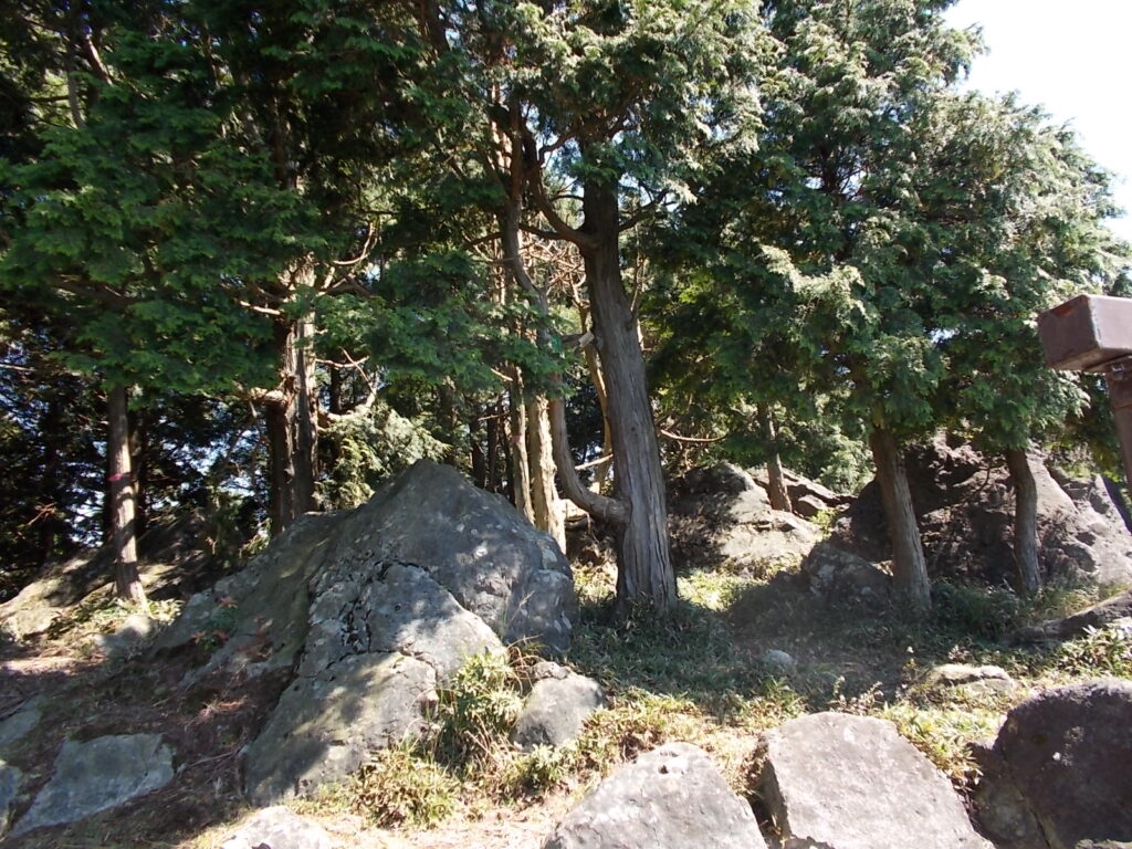 12:20 白岩山山頂に戻りました。ここで昼食にしました。