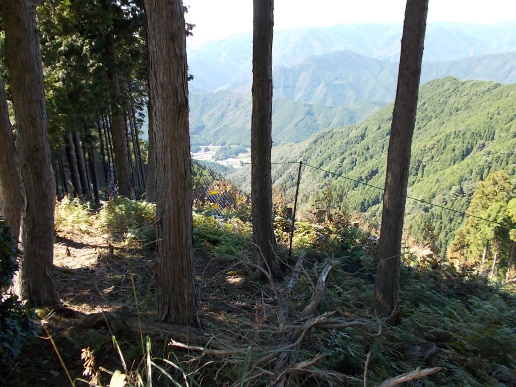 12:47 尾根筋ではこちらの方が景色がよく見えます。