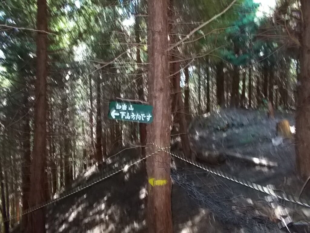 12:53 ロープが張られた分岐点。ここから人工林の中を下っていきます。景色はさっぱりで、結構長いです。