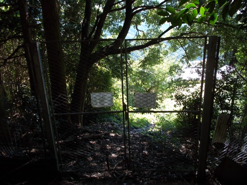 13:14 人工林の終わりにある獣柵。