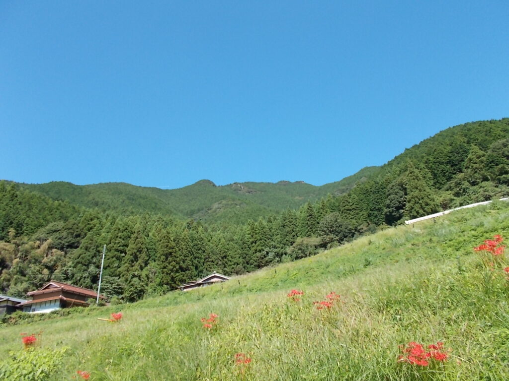 13:19 東西コース分岐点に戻る途中から見えた白岩山。