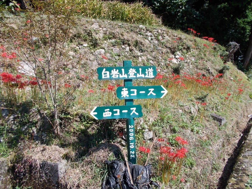 13:19 東西コース分岐点に戻りました。