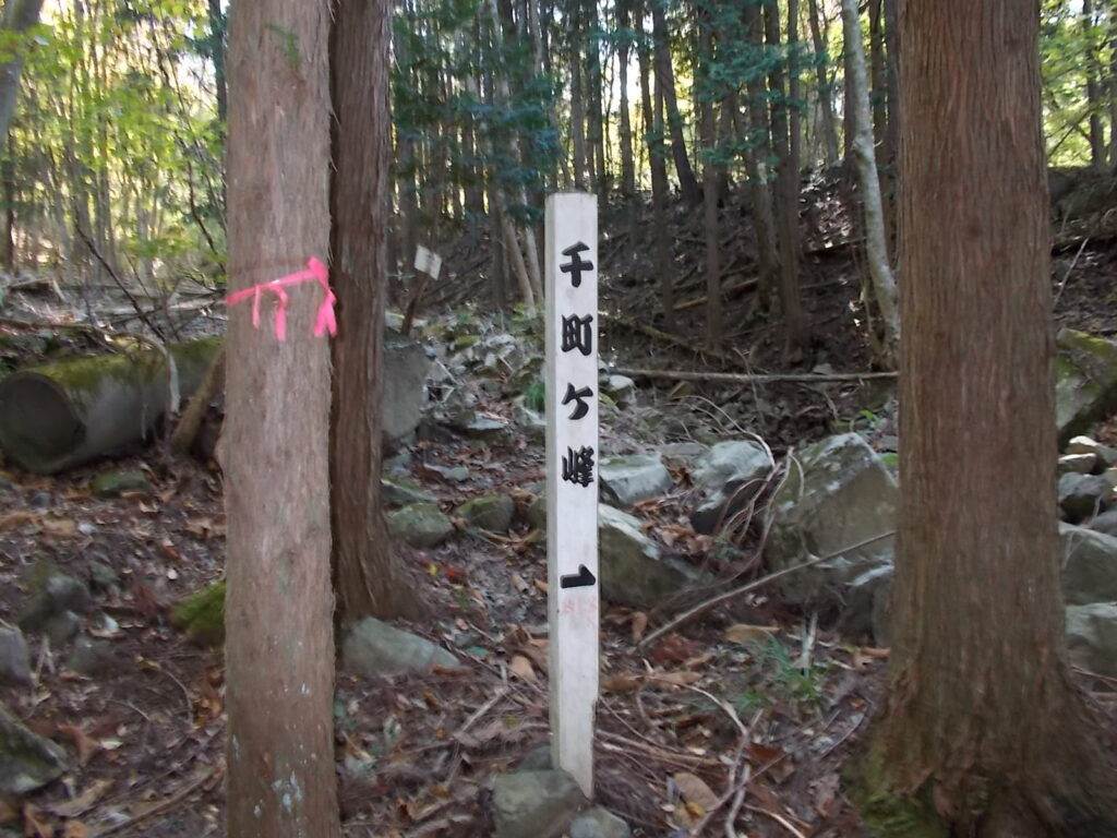 10:27 案内柱です。この山には案内板が少ないので、ピンクのテープをしっかり確認してください。