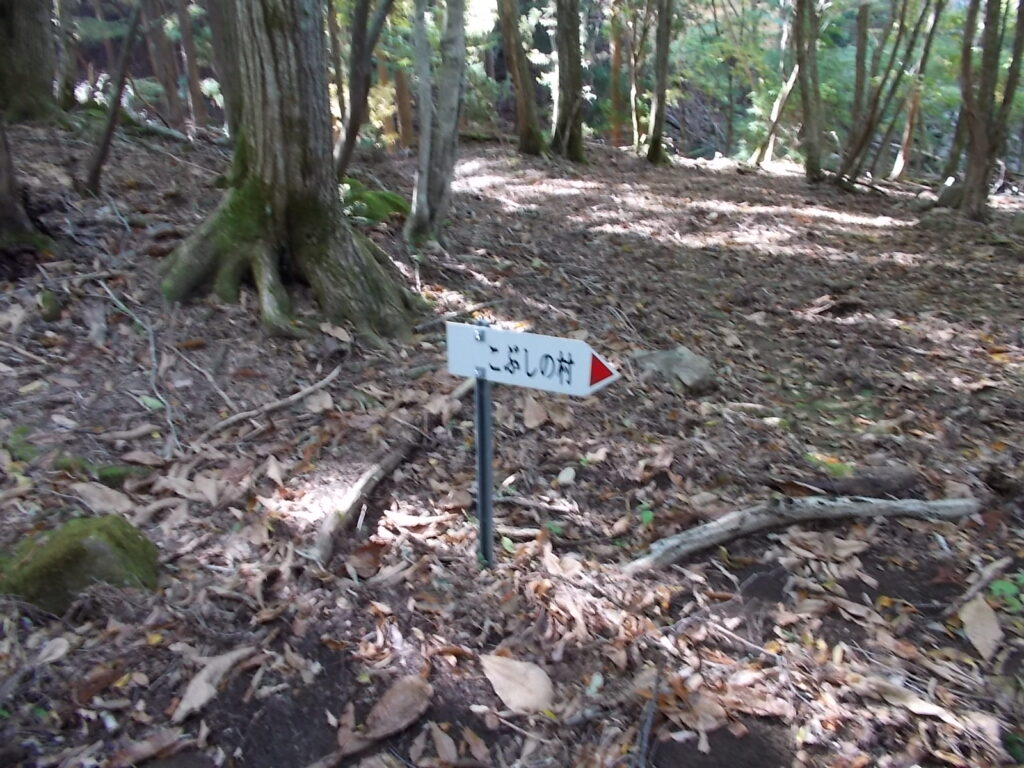 10:30 こぶしの村への案内板。逆方向に進みます。