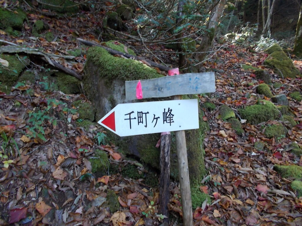 10:37 案内板です。少ないとは言え、時々出てきます。