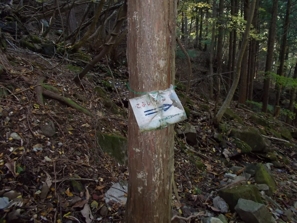 10:49 こぶしの村への案内です。