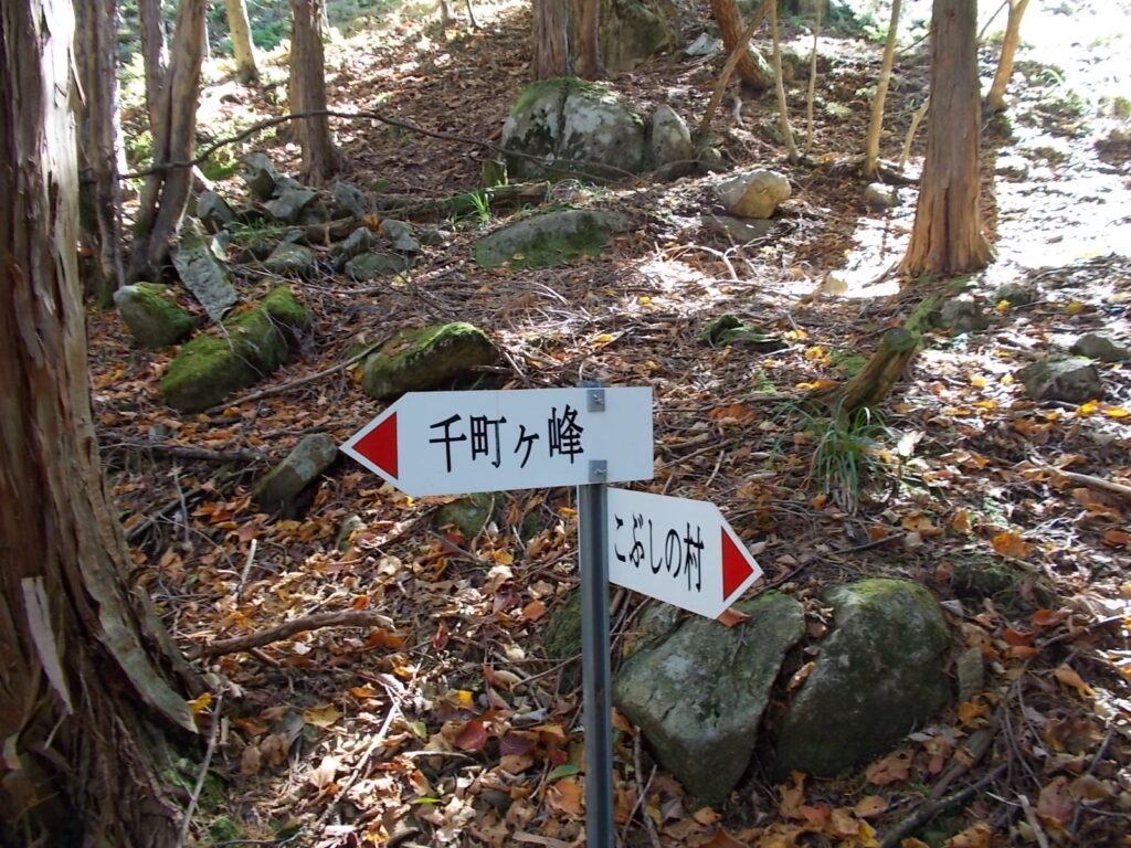 11:12 尾根の案内板。