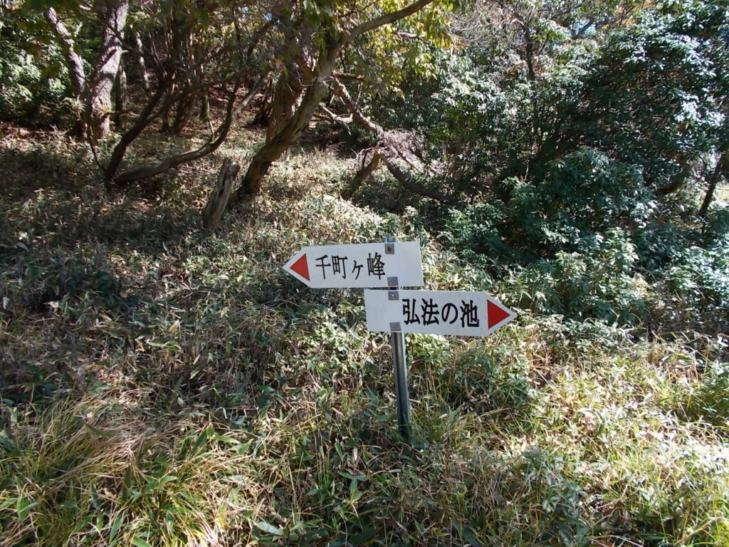 11:18 無事に弘法の池の分岐に出ました。