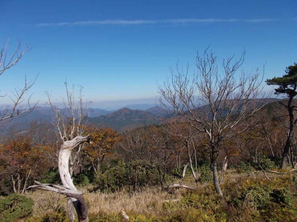 11:25 笠杉山方面。