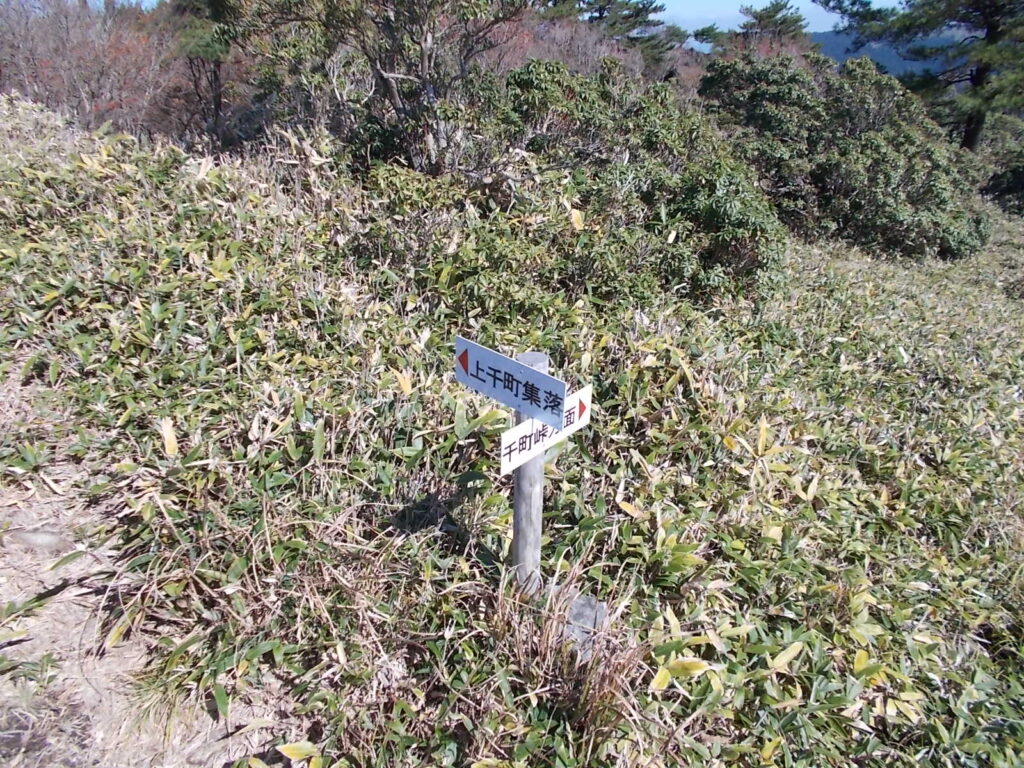 11:52 すぐに千町峠への分岐に出ます。千町峠に出ると段ヶ峰に行けますが、ここは左の上千町集落へ向かいます。