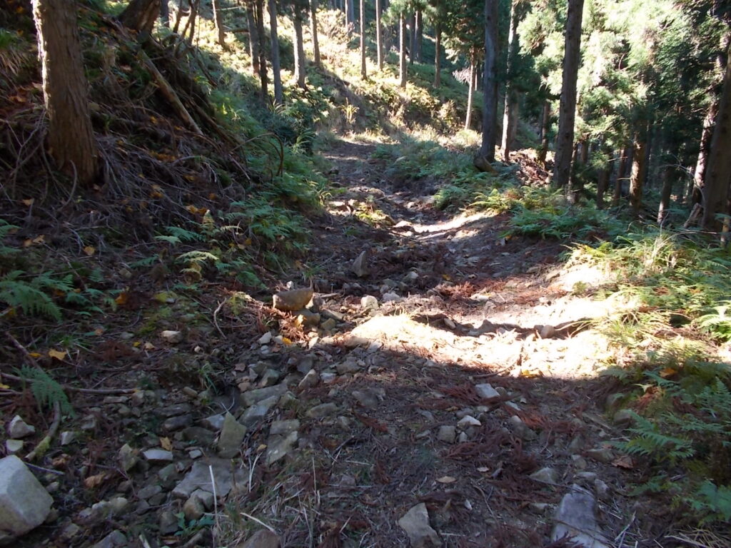 12:04 すぐに林道に出ます。この林道はかなり荒れています。