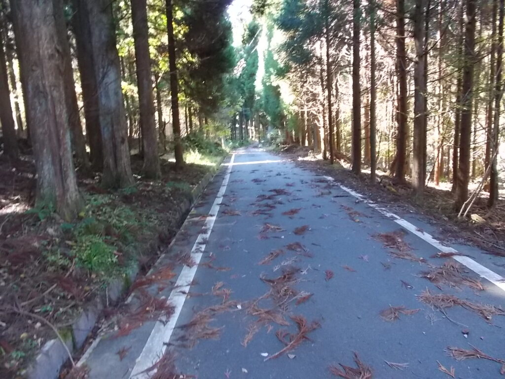 12:40 舗装された林道に出ました。ここを下って、上千町に向かいます。逆方向に行くと千町峠に出ます。途中林道がえぐれているので、車では無理みたいです。