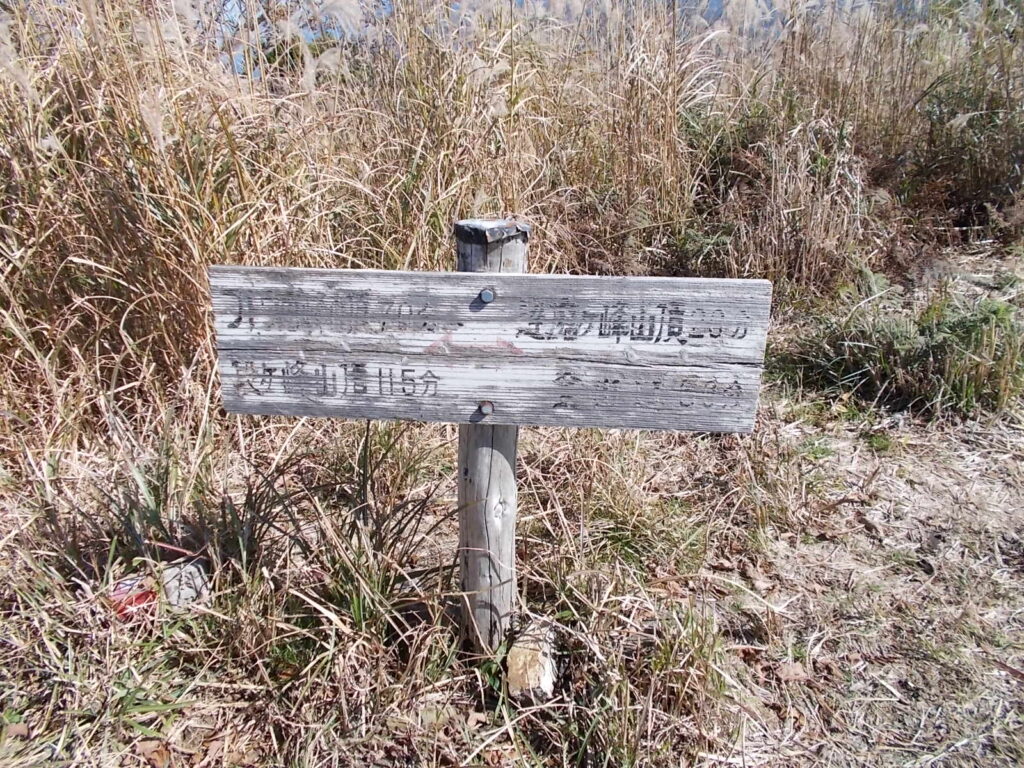 11：11　なんだか読みにくいですが、達磨ヶ峰山頂20分、フトウガ峰山頂70分、段ヶ峰山頂115分と書いてあるようです。
