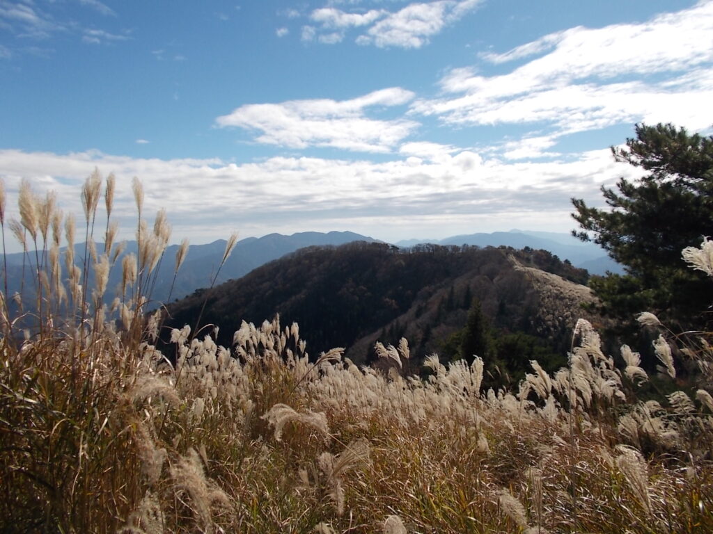 11：11　今通ってきた、達磨ヶ峰方面。