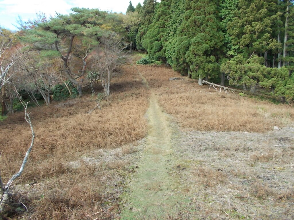 11：24　ちょっと下った馬の背。右側は人工林になります。