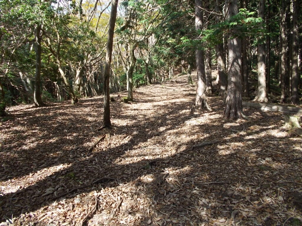 11：38　再び雑木帯の尾根筋。