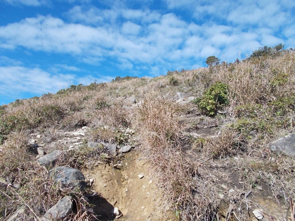 11：46　木はなくなりましたが、かなりの登りです。
