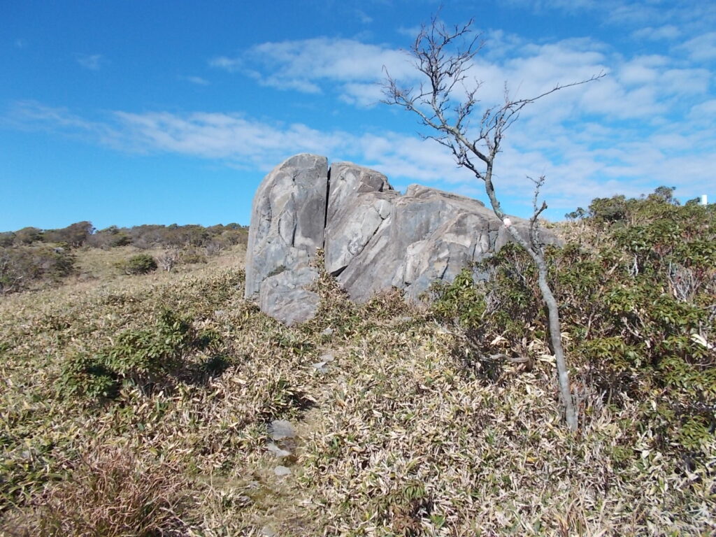 11：49　笹原にある大きな岩に出ました。