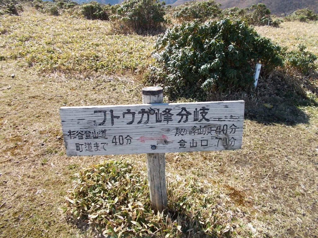 11：56　フトウガ峰分岐＝杉谷ルートの分岐。杉谷登山口40分、段ヶ峰山頂40分。