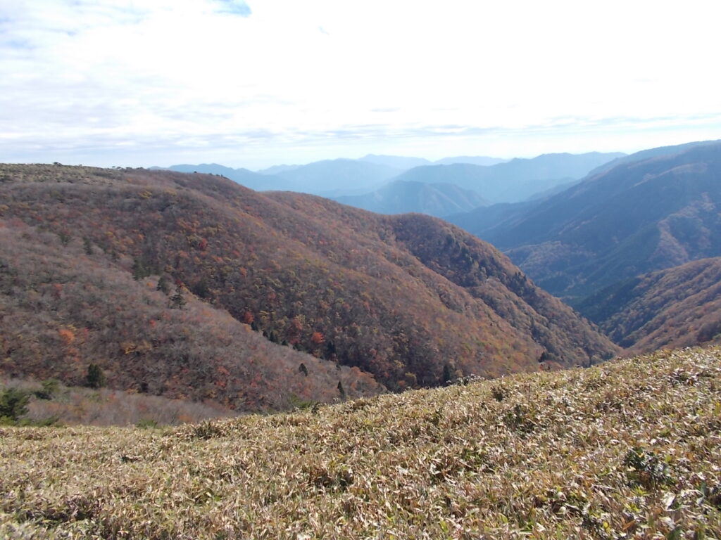 12：11　谷筋の紅葉。曇っているので写りが悪いです。