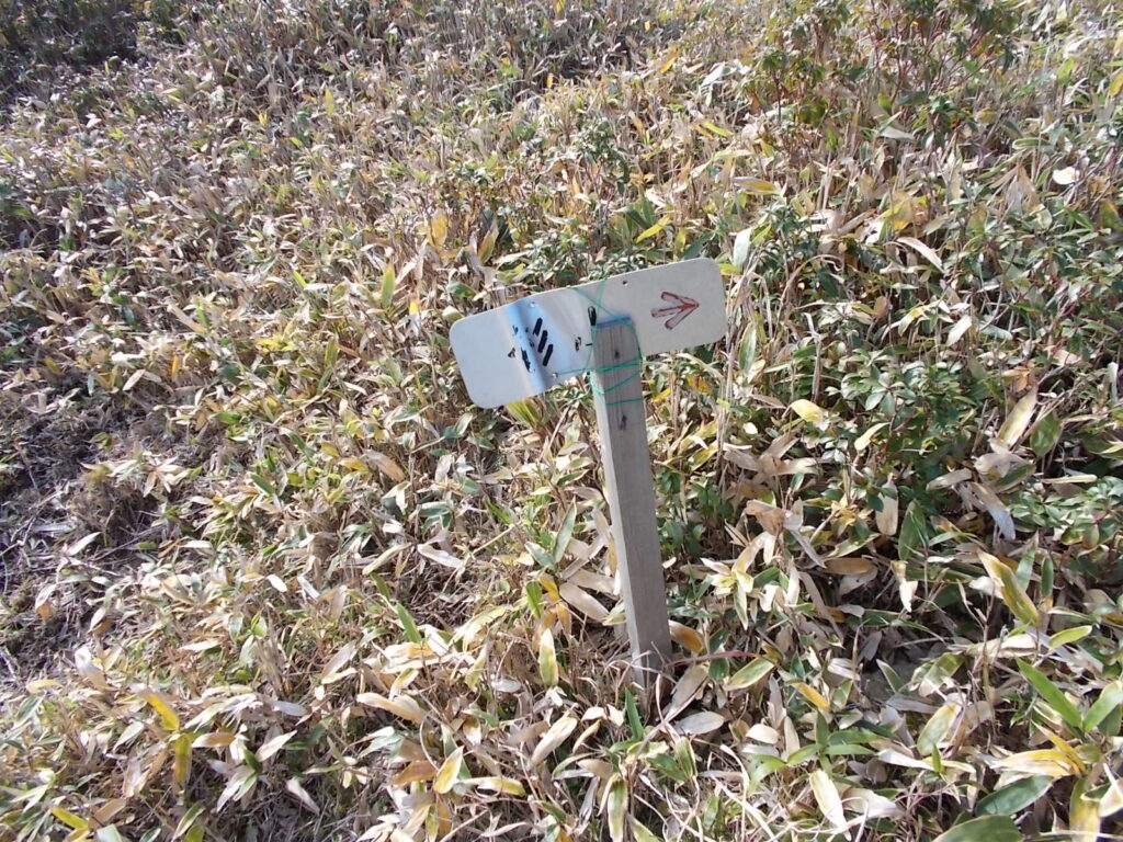 12：20　杉山分岐