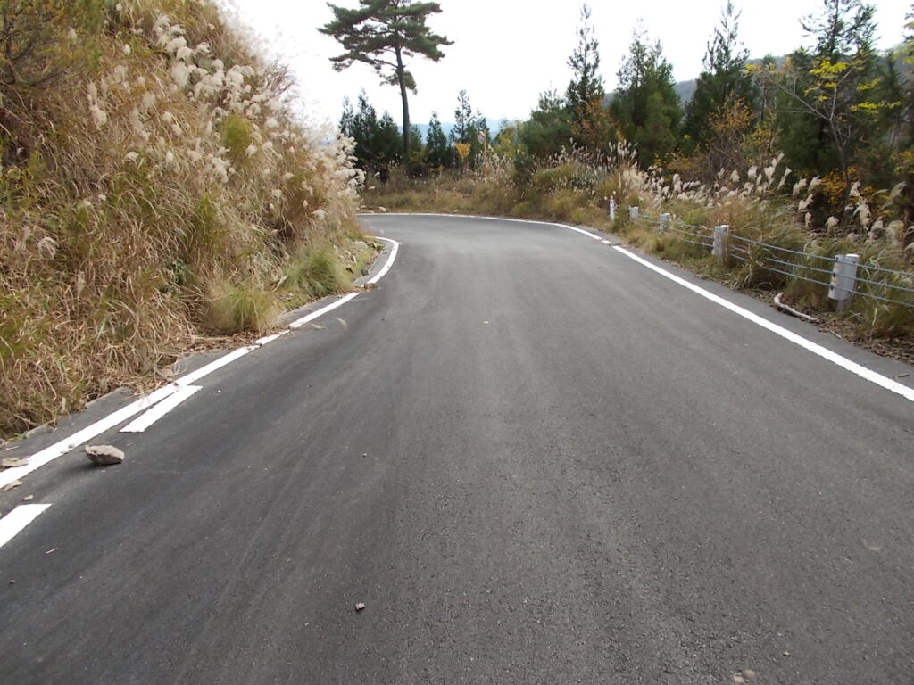 12：53　ここからしばらく舗装路を歩きます。前に来た時はなかったんですが。