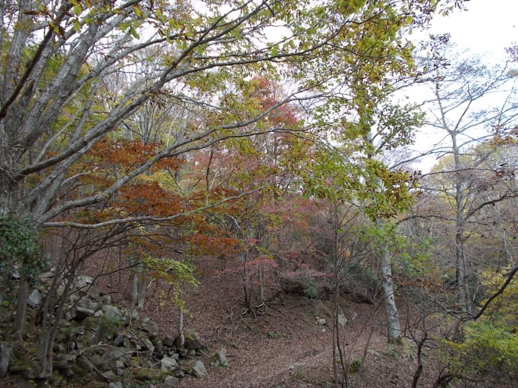 13：07　林道の紅葉です。ず〜っとこんな感じが続きます。