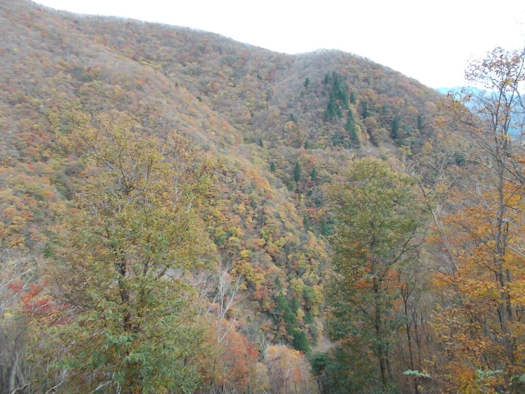 13：22　途中の谷の紅葉。