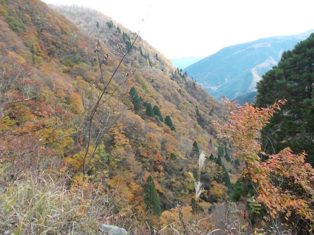 13：32　この谷の紅葉です。