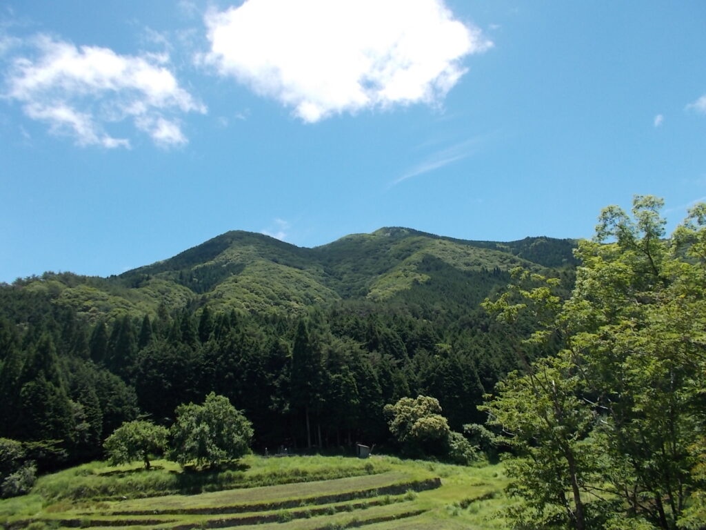 11：43　途中から見えた千町ヶ峰。