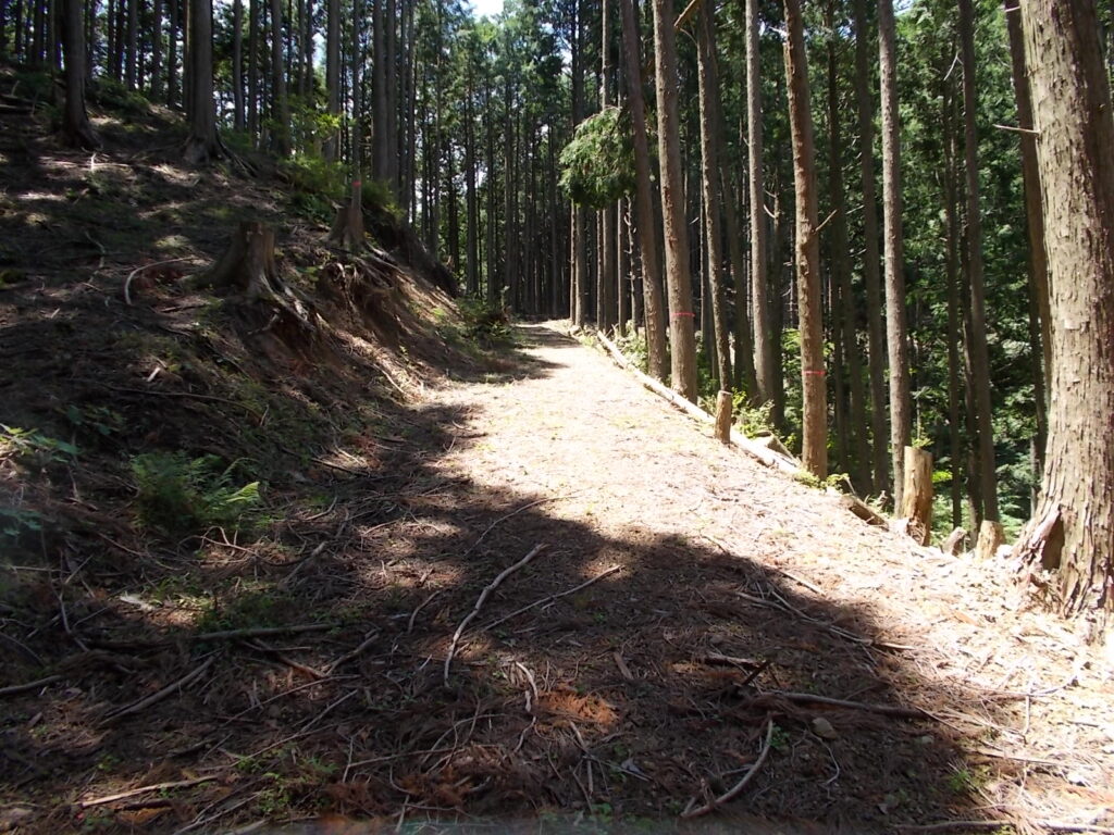 11：59　すぐに林道に出ました。登山道は左の登りです。林道を歩くと途中から登山道に合流しないといけません。