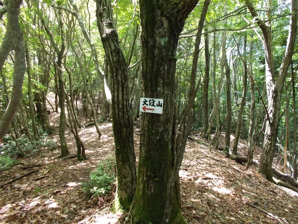 12：17　大段山への案内板