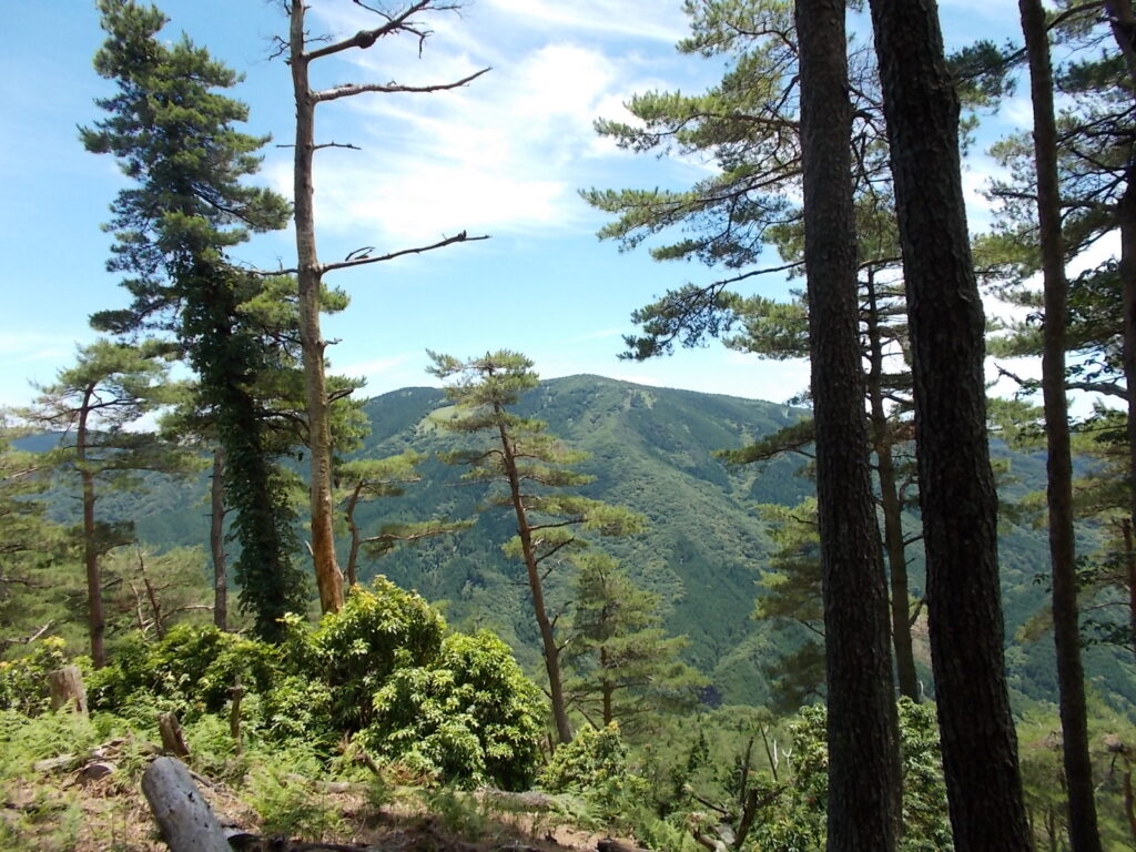 12：20　山頂手前からの眺め。千町ヶ峰が目の前に見えます。