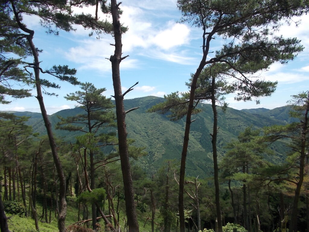 12：30　案内板まで戻り、見晴らしの良いところを選んでお昼にしました。目の前は千町ヶ峰