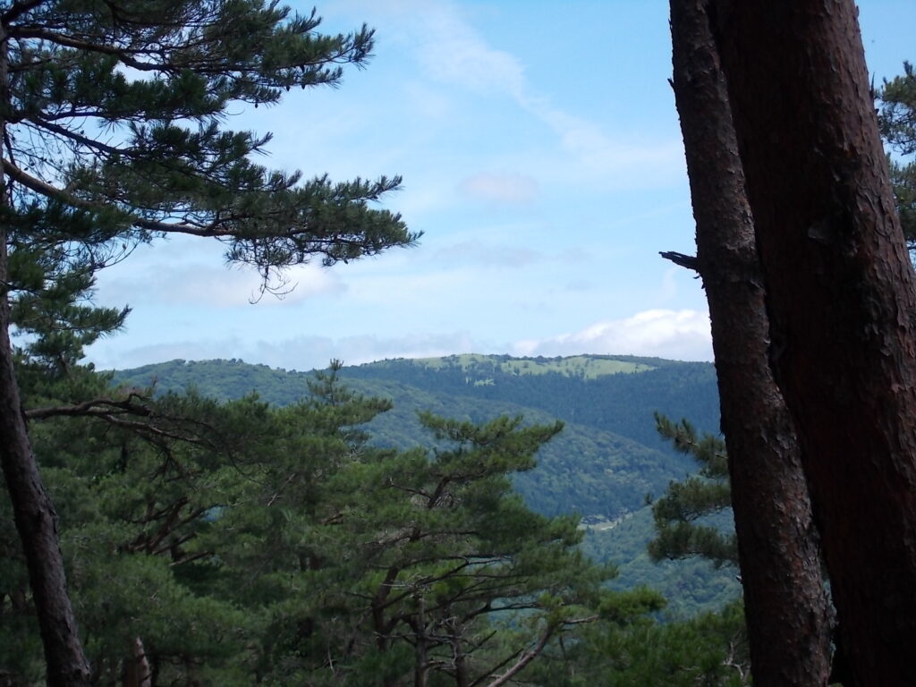 12：31　緑がきれいな砥峰高原