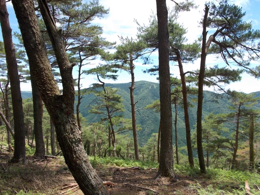 12：46　下山します。