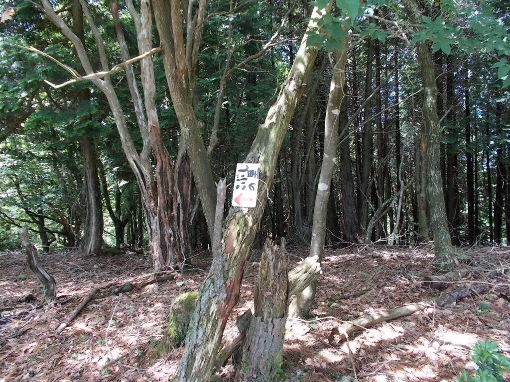 12：47
　横向きの案内板。