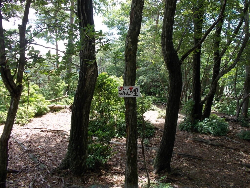 12：48　案内板。山頂付近はほんとに緩やかです。