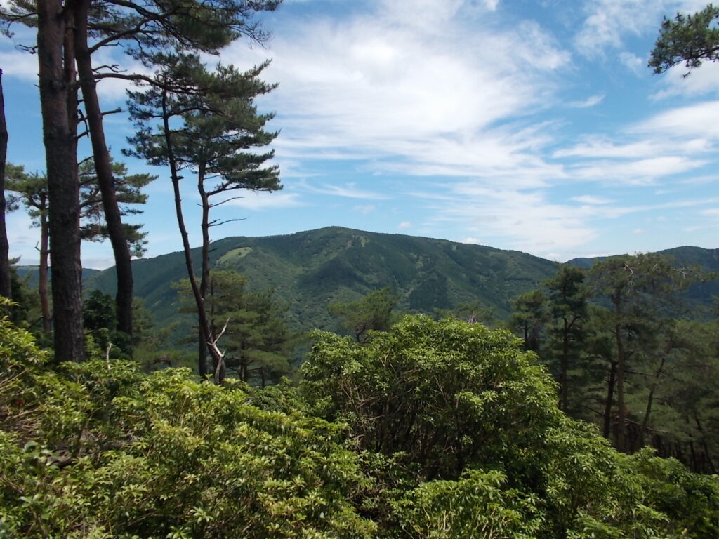12：50　千町ヶ峰がほんとによく見えます。