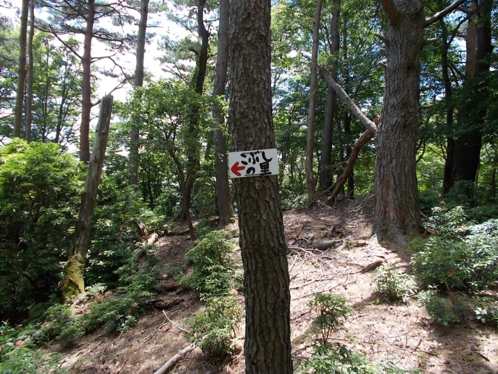 12：57　稜線の終点の案内板。見落とさないように。ここから急坂を下ります。