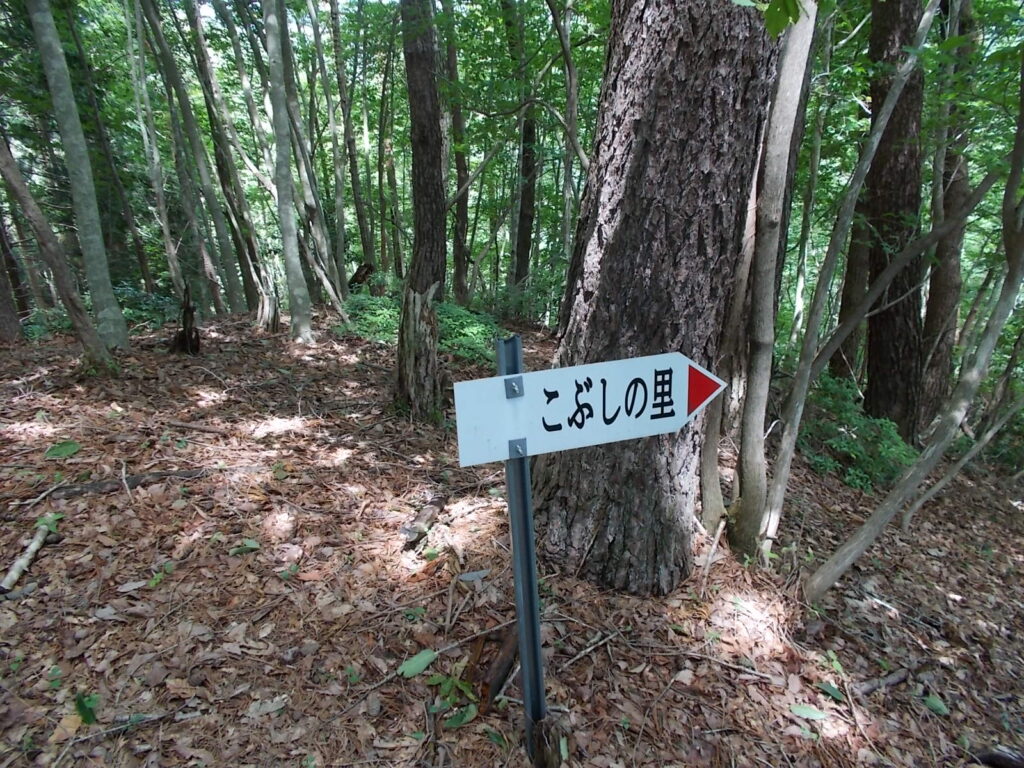 13：04　こぶしの里への案内板。