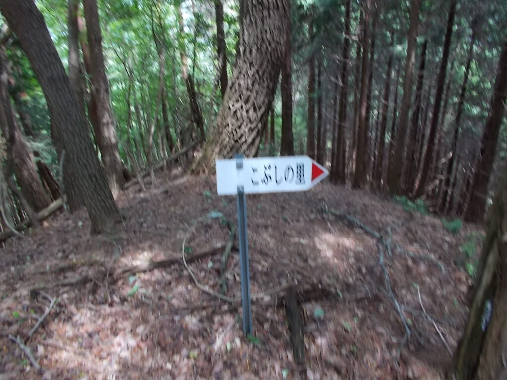 13：05　もひとつ案内板。ここからさらに激下り。